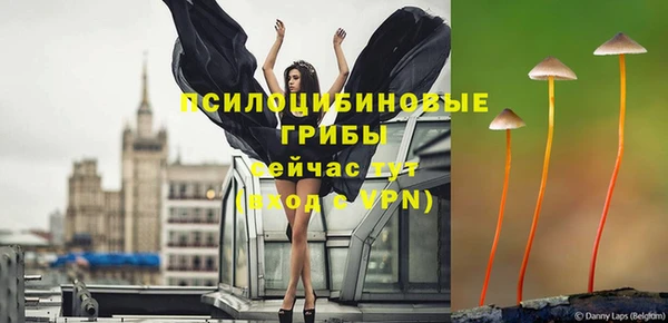 экстази Нязепетровск