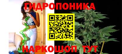 прущие грибы Жуковский