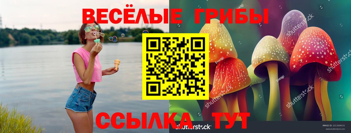 даркнет сайт  Вход с VPN  Муром  Псилоцибиновые грибы Magic Shrooms 