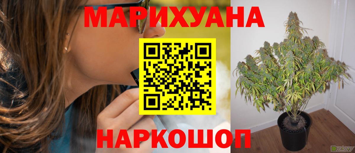 Бошки марихуана AK-47  Марихуана ГИДРОПОН  Вход с VPN  Муром  Бошки марихуана AK-47 